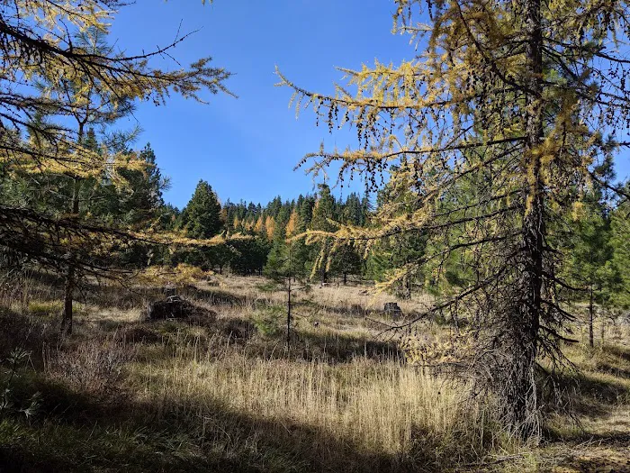 Underhill Site 1