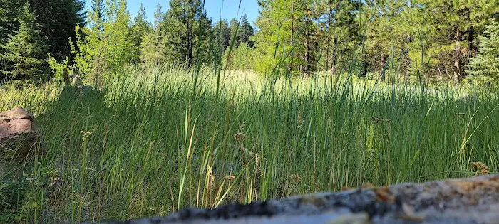 Lower Eightmile Crossing Campground 2