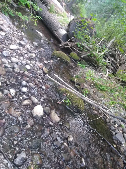 Little Badger Campground 1