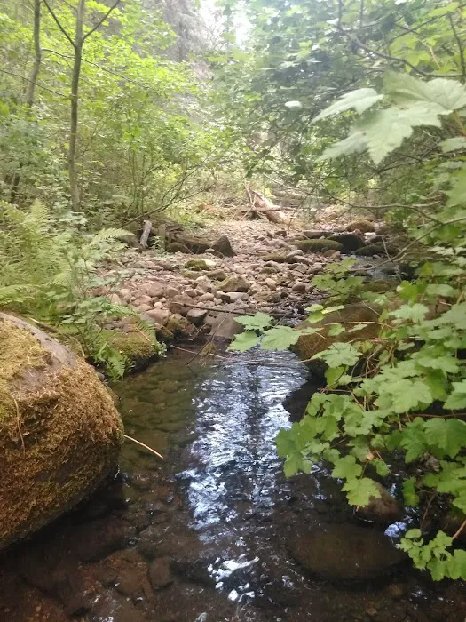 Little Badger Campground 2