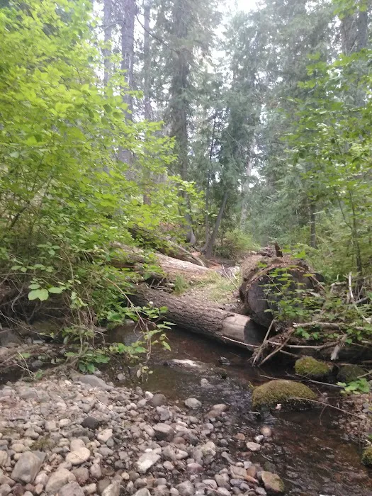 Little Badger Campground 9