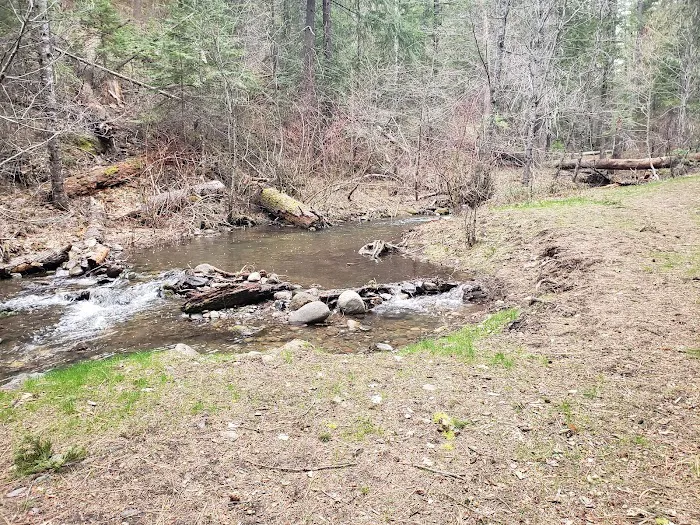 Little Badger Campground 6