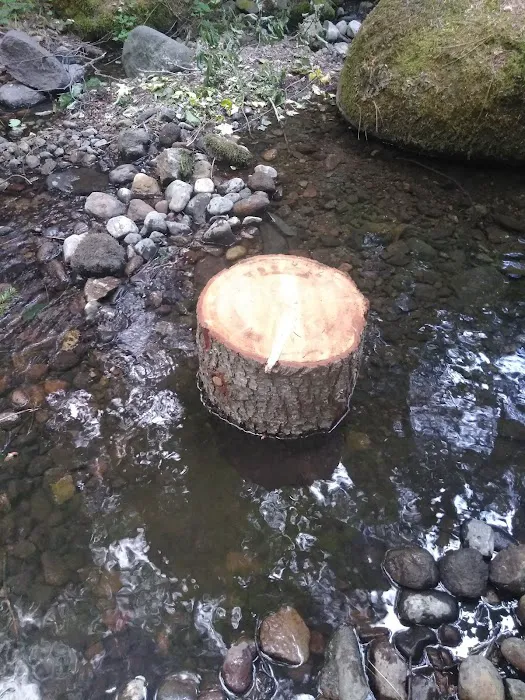 Little Badger Campground 8