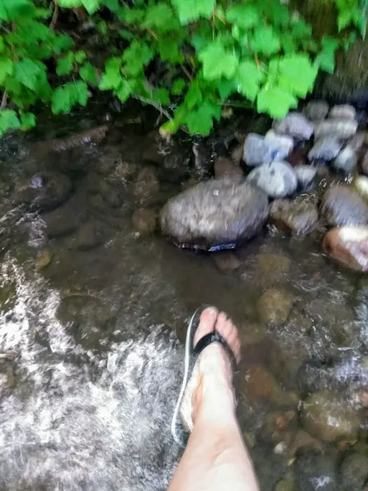 Little Badger Campground 0