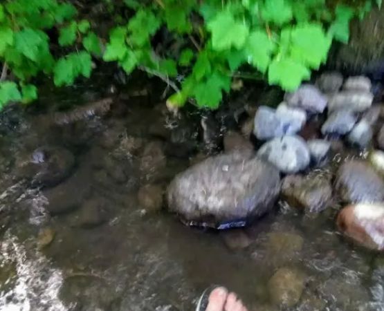 Little Badger Campground