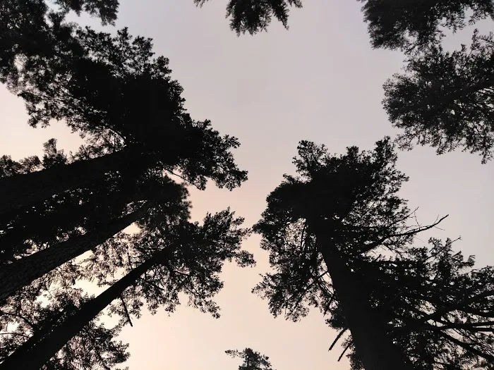 Little Badger Campground 4