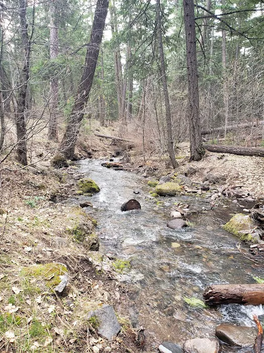 Little Badger Campground 3