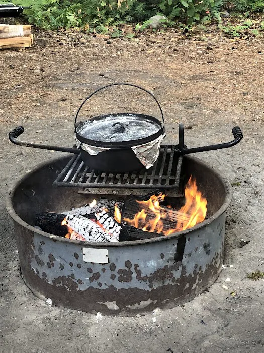 Swift Forest Camp 9