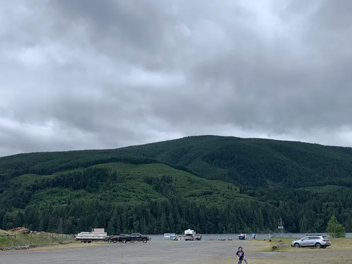 Swift Forest Camp 2