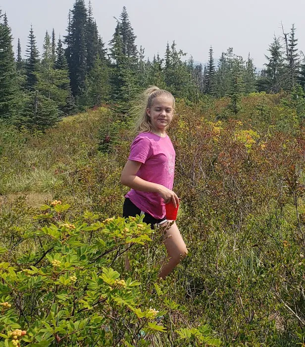 Interpretive Site: Berry Fields 8