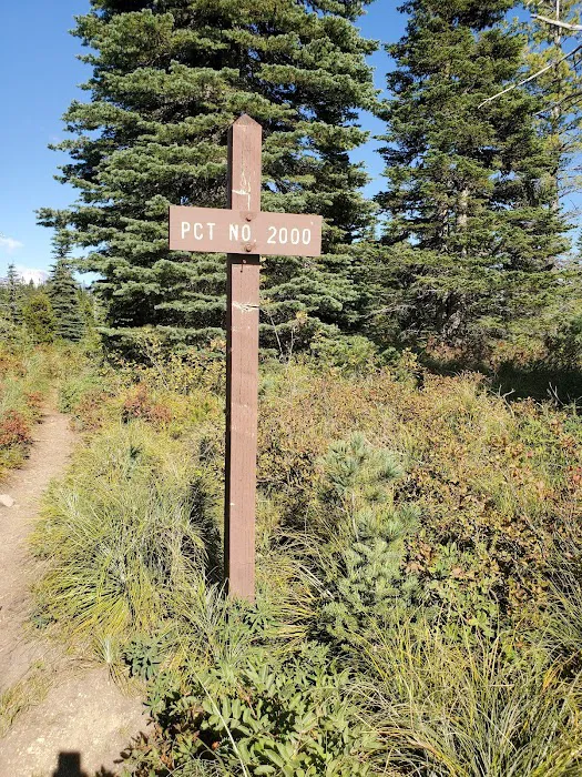 Interpretive Site: Berry Fields 6