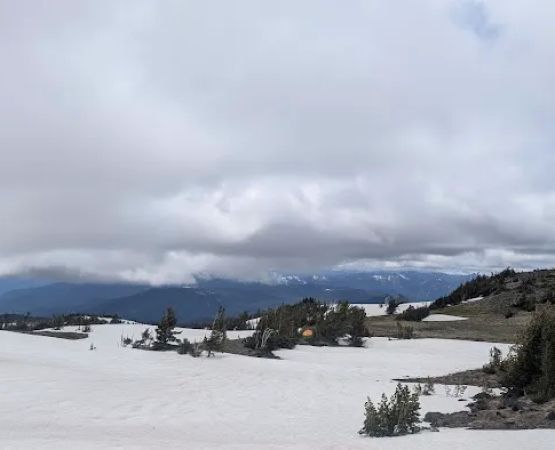 High Camp