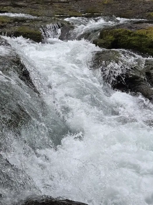 Lower Falls Campground 4