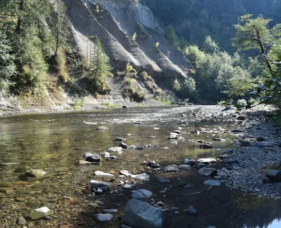 Lower Falls Campground