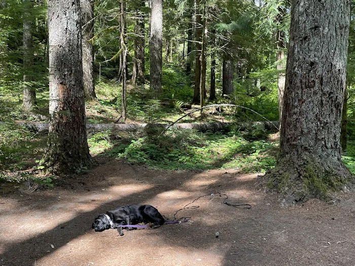 Lower Falls Campground 8