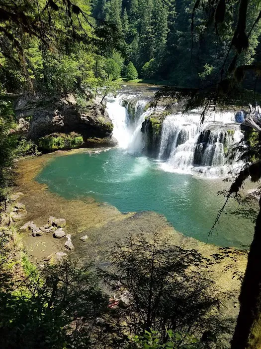 Horse Camp: Lewis River 4