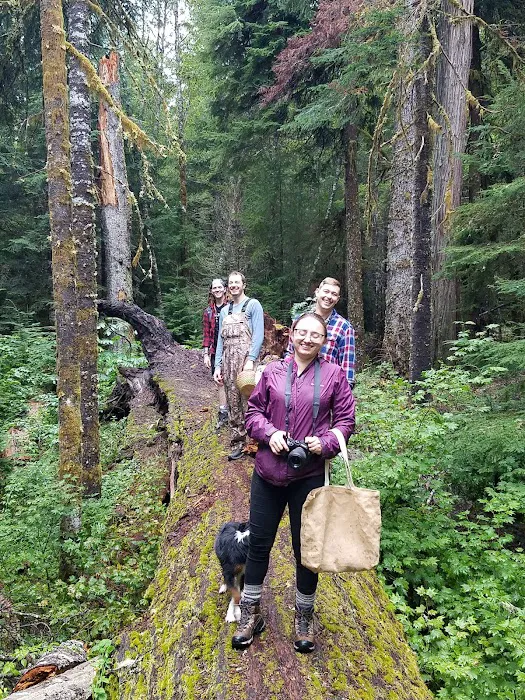 Horse Camp: Lewis River 3