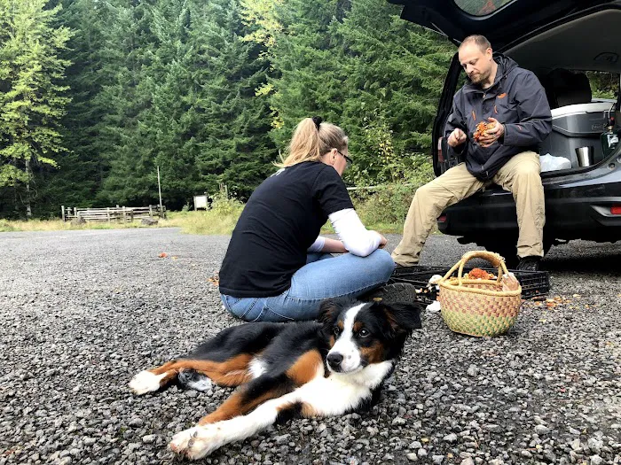 Horse Camp: Lewis River 9