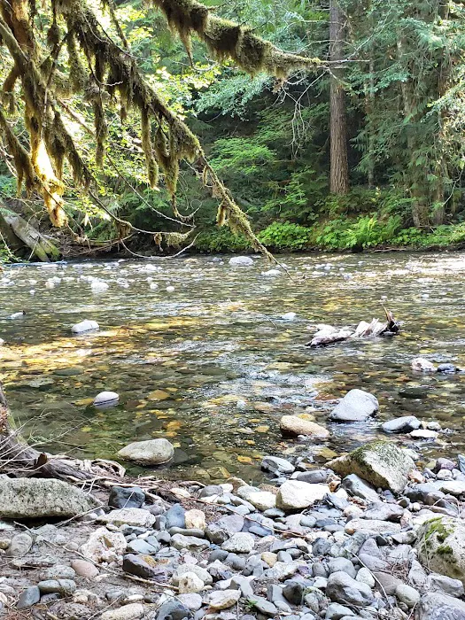 Horse Camp: Lewis River 2