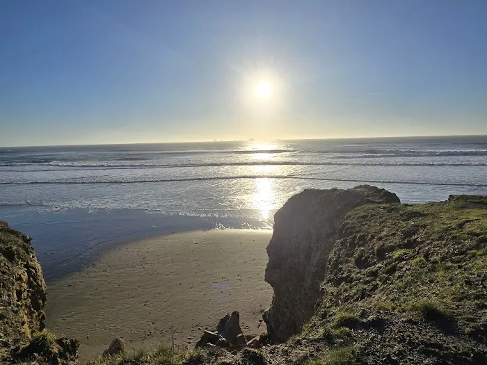Cape Blanco Campground 4