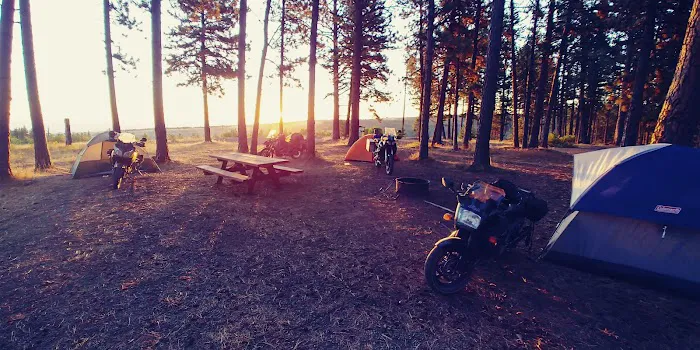 Forest Boundary Campground 8
