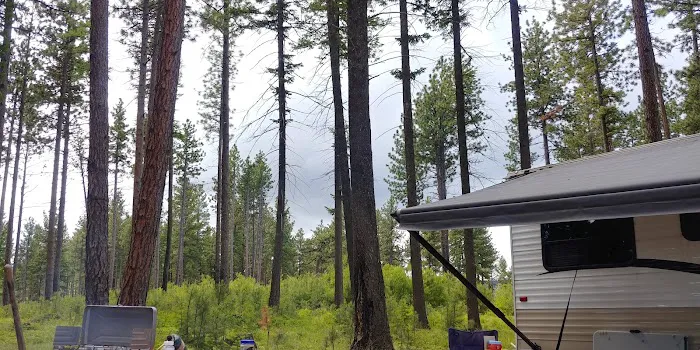 Forest Boundary Campground 7