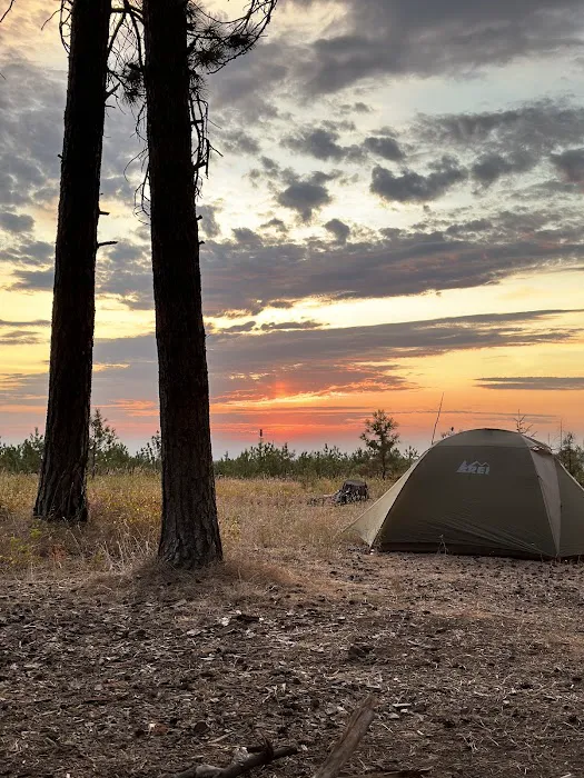 Forest Boundary Campground 2