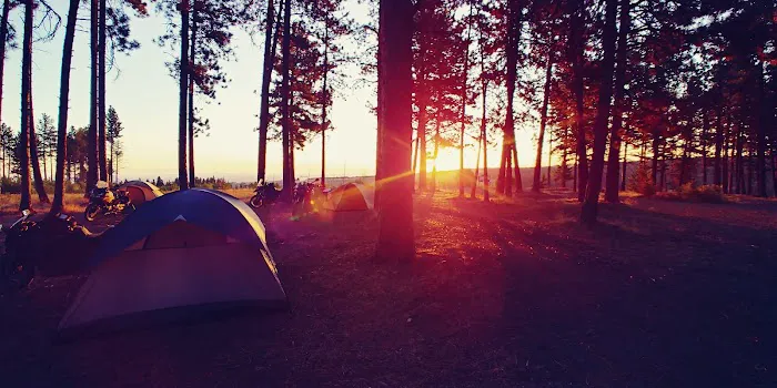 Forest Boundary Campground 5