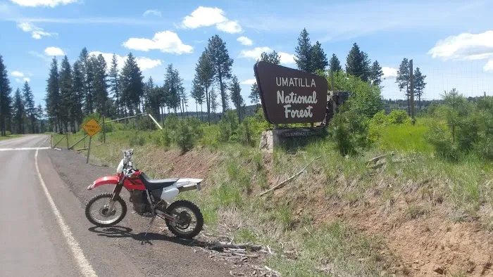 Forest Boundary Campground 3