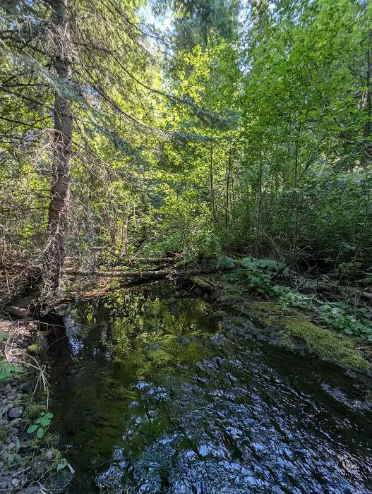 Pataha Campground 0
