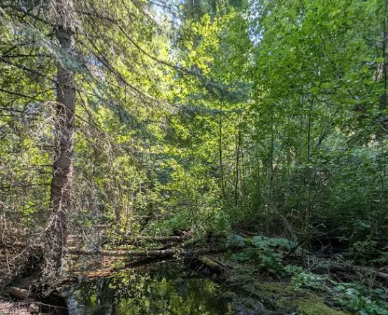 Pataha Campground