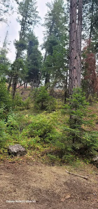Pataha Campground 6