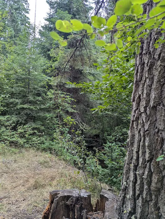 Pataha Campground 4
