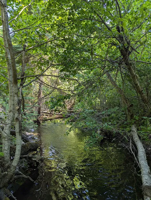 Pataha Campground 8