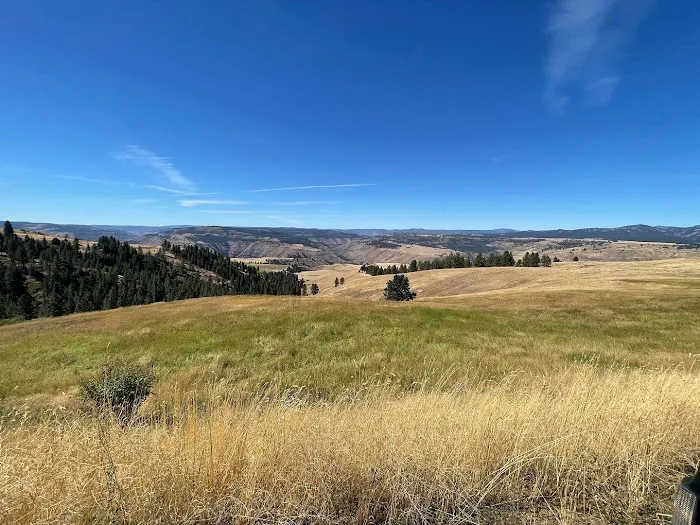 Grizz Flats Campground 5