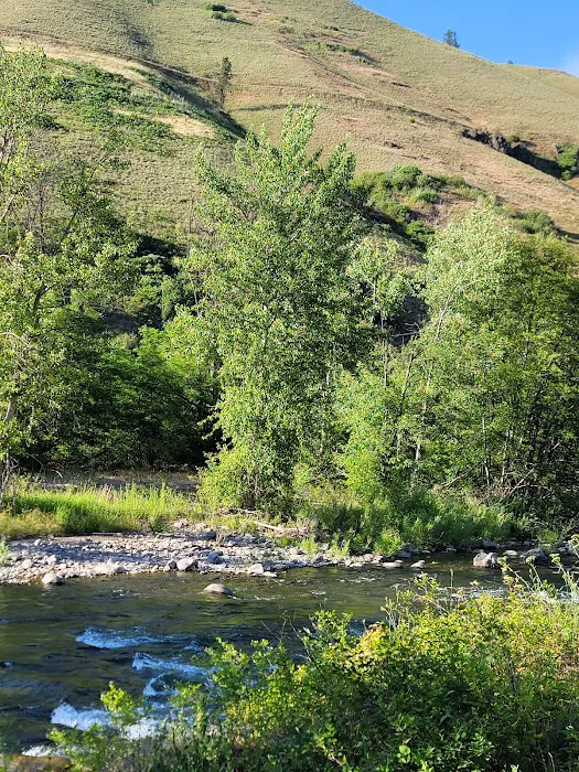 Grizz Flats Campground 2