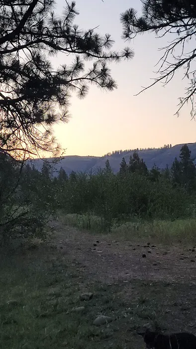 Grizz Flats Campground 6