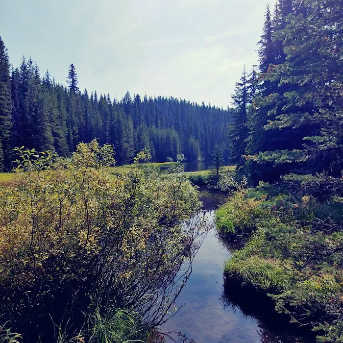 Jubilee Lake Campground 1