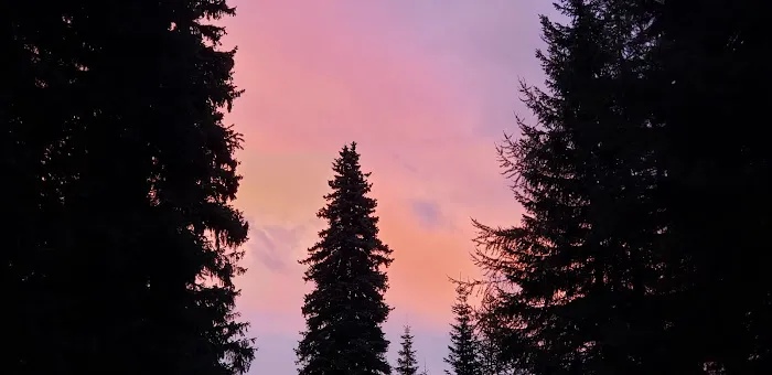 Woodland Campground 3