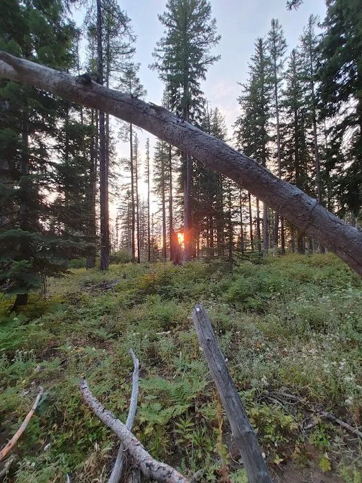Woodland Campground 4