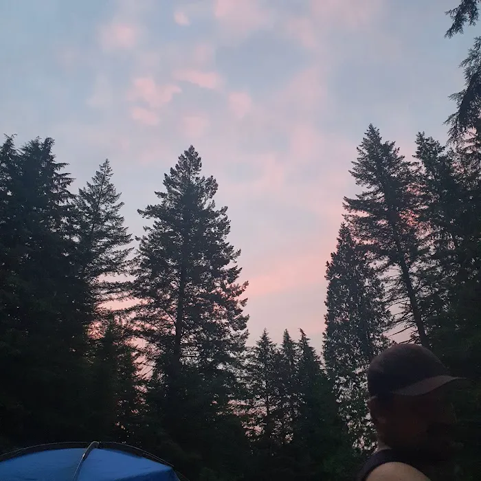 Woodland Campground 1