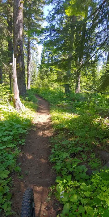 Woodland Campground 2