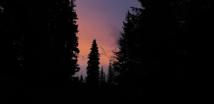 Woodland Campground 0