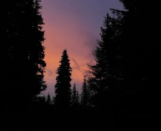 Woodland Campground