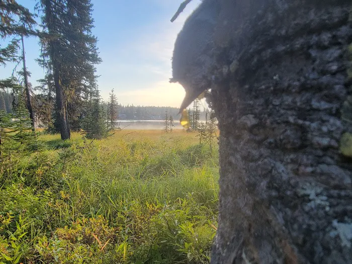 Woodward Campground 2