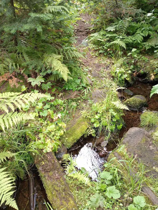 Woodward Campground 8
