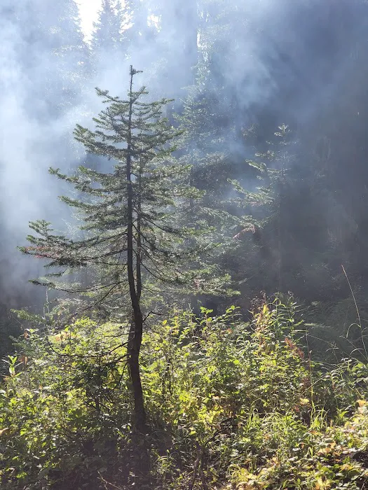 Woodward Campground 7