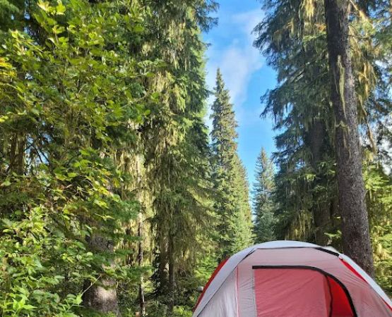 Woodward Campground