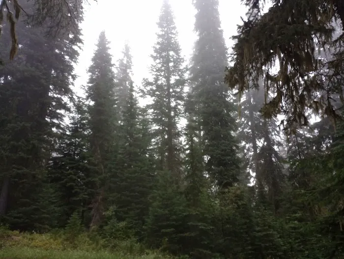Woodward Campground 1