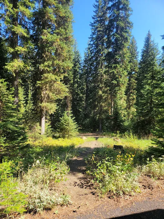 Woodward Campground 6